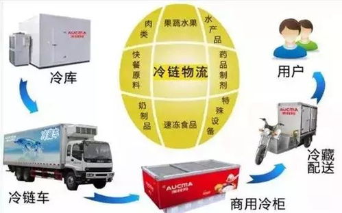 冷鏈物流 突破瓶頸、抓住機遇，推動普通貨運轉型升級